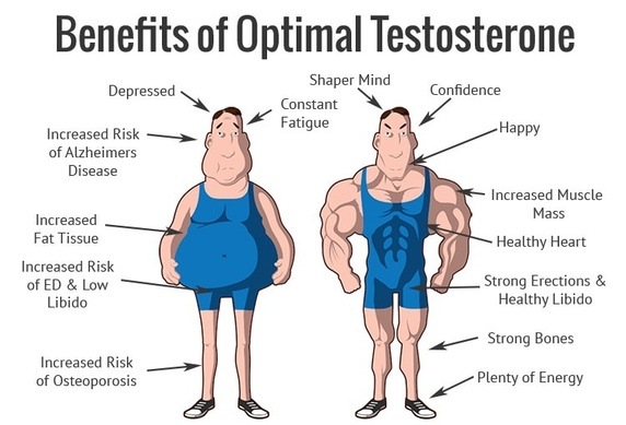 Boost testosterone